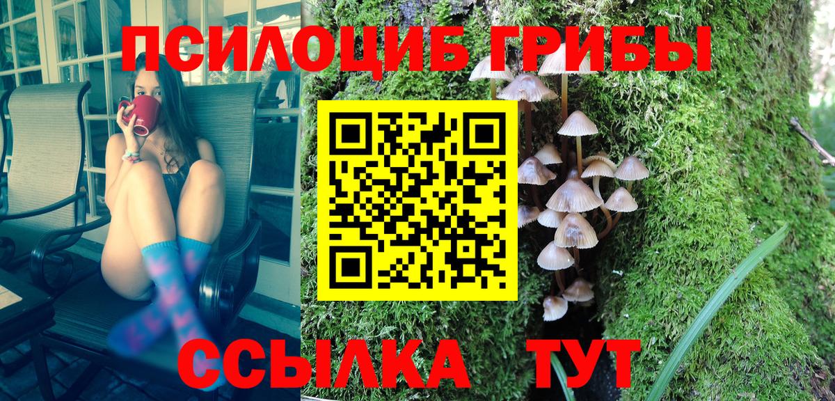 Кстово  цены наркотик  Вход с VPN  Псилоцибиновые грибы GOLDEN TEACHER  Псилоцибиновые грибы прущие грибы 